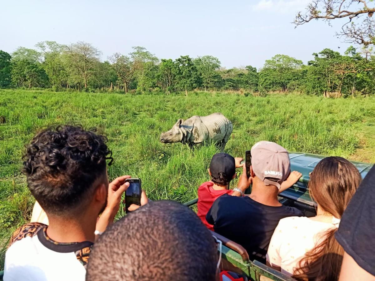 Rhinoceros-homestay Homestay